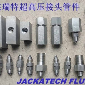 杰瑞特超高壓液壓元件 超高壓非標(biāo)接頭